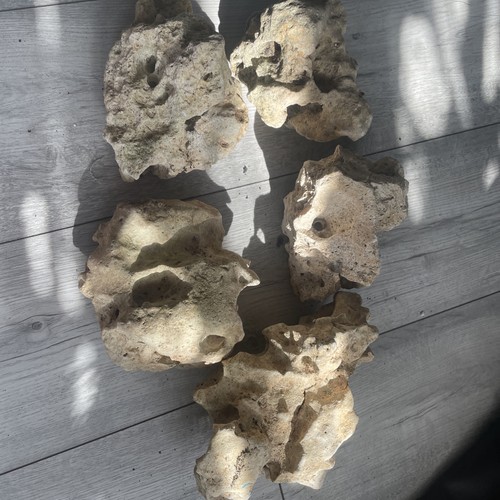 Aquarium stone rocks natural - stone,