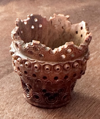 Victorian carved coquilla nut - coquilla,