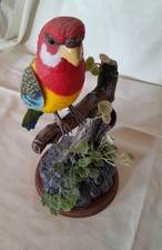 Kandy toys talking parrot - talking,
