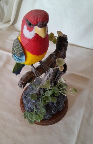 Kandy toys talking parrot - toys,