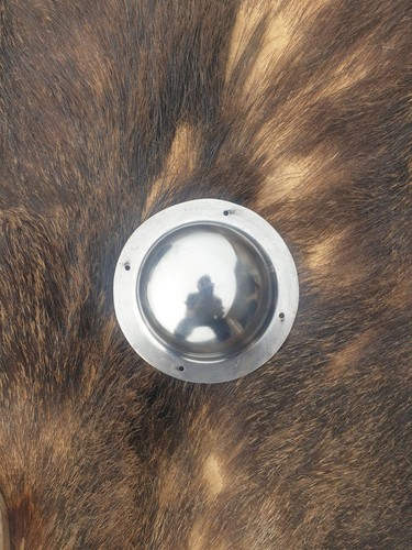 Viking shield boss - viking,