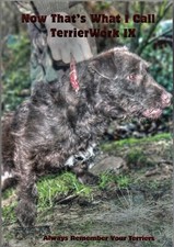 Darcy jonathan terriers book - terriers,