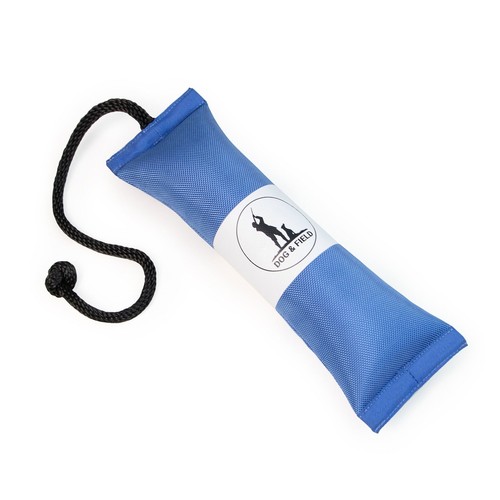 Dog field firehose gundog - field,