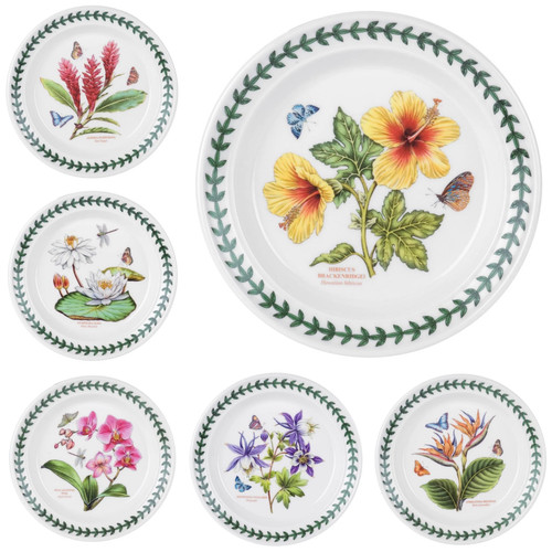 Portmeirion exotic botanic - exotic,
