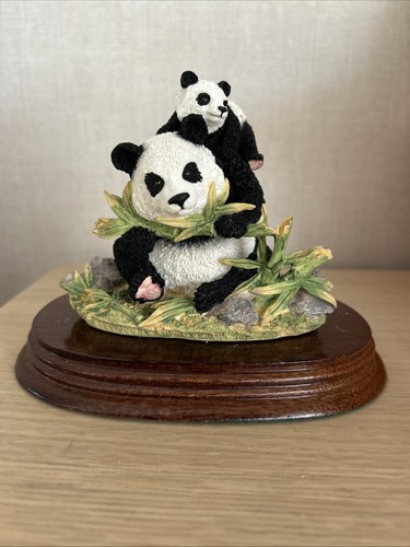 Leonardo giant panda with - panda,