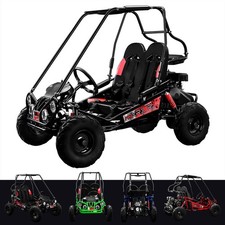 163cc 2 Seater Petrol Buggy 4