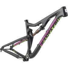 Frame Pivot Bearing Kit |