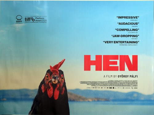 Hen quad - uk,