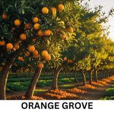  Car Diffuser Vent Mounted