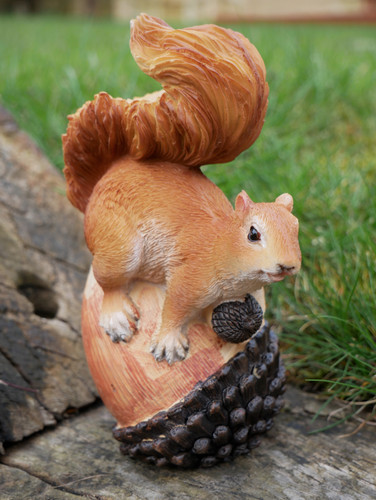 New squirrel nut - new, garden
