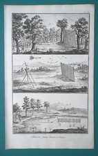 HUNTING Catching Birds Pigeons