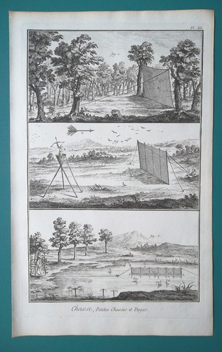 Hunting catching birds - catching,