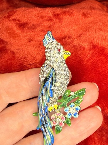 Vintage coro duette calopsitta - vintage,