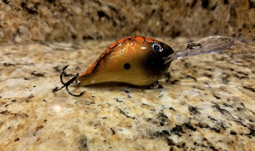 Custom painted rapala - painted, dt-8