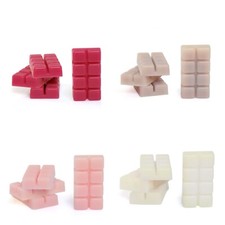 Wickford & Co Summer 2024 Scented Wax Melts 8 Blocks Per Pack Scent Choice