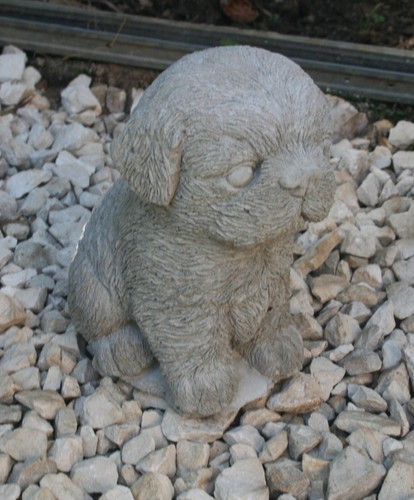 Shih tzu puppy garden stone - garden,