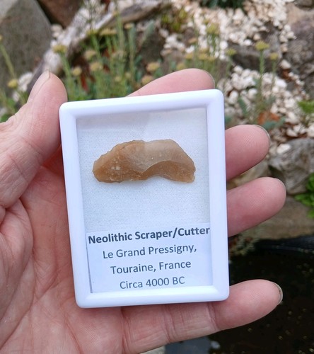 Neolithic tool scraper