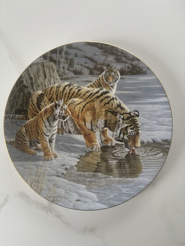 Wedgewood the siberian - the, tigers