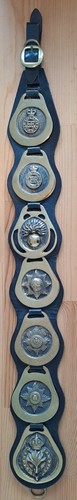 Vintage brass royal horse - vintage,