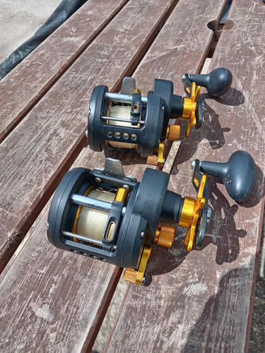 Penn fathom 15lw multiplier - 15lw,