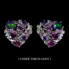 925 Sterling Silver Earrings