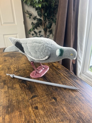 Pigeon decoy - pigeon,