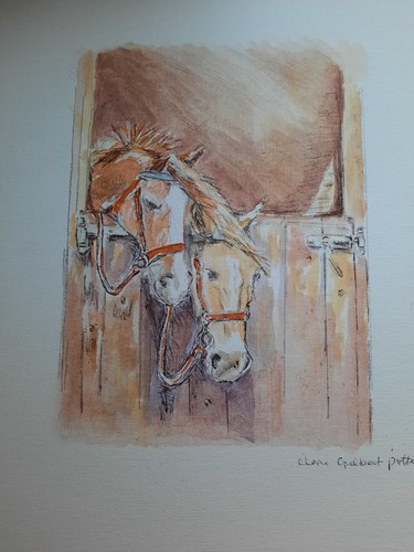 For pony lovers take - for,