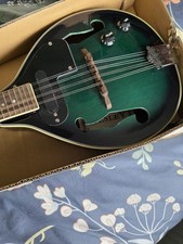 Wesley electric acoustic - electric,