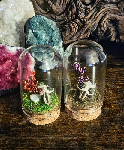 Glass dome cloche ornament - dome,