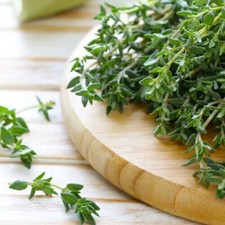 Thyme Seeds | Heirloom /