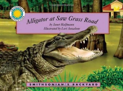 Alligator saw grass road - saw,