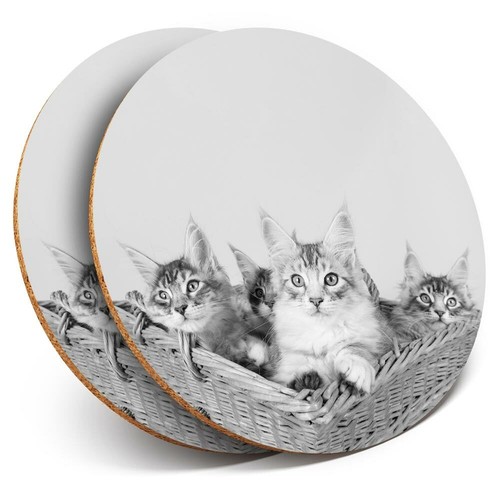 Coasters cute maine - x,