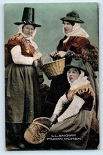 POSTCARD LLANGWM - PRAWN WOMEN