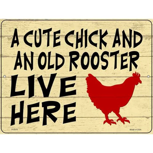 Cute chick old rooster - chick,