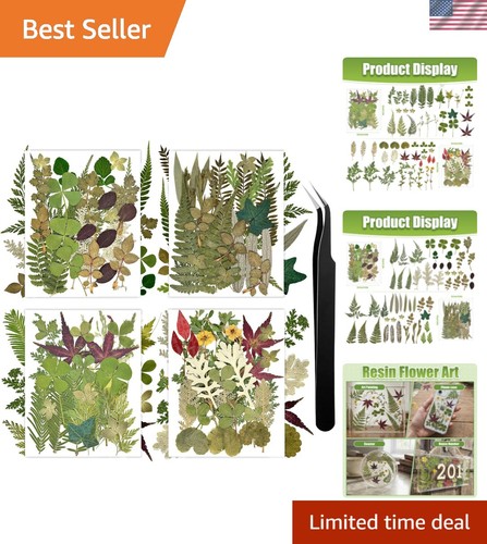 110 pcs dried flowers - flowers, leaves