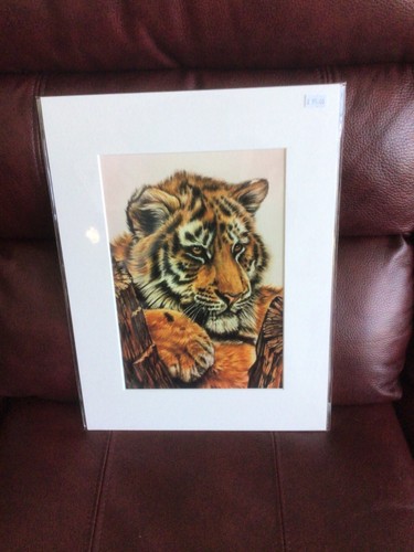Giclee tiger cub - tiger,