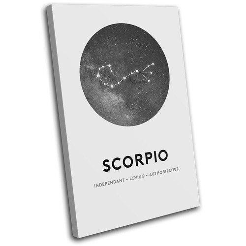 Constellation scorpio zodiac - constellation,