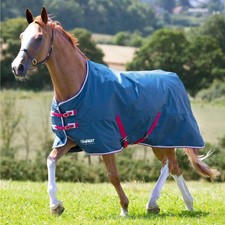 Shires Tempest Original 0g