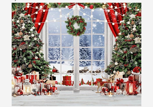 Christmas vinyl photography - vinyl,