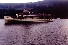 Lakeside windermere swan - lakeside,