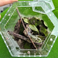 Reptile Terrarium Small