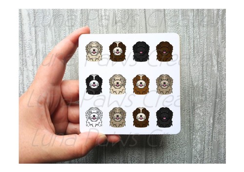 Havanese coaster novelty - coaster,, dog