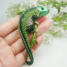 Woman Green Chameleon Animal