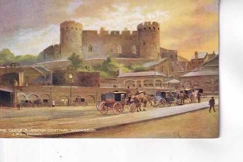 The castle shrewsbury - the,
