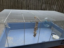 Large Hamster Cage with Toys and Equipment