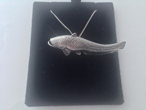 F46 wells catfish - , on