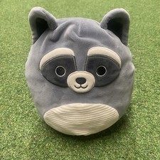 Rocky the Raccoon / Racoon