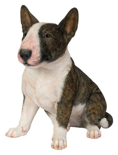 Vivid arts bull terrier - arts,