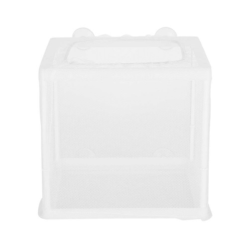 Fish breeder box - fish,
