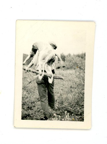 Hunter carrying dead skinned